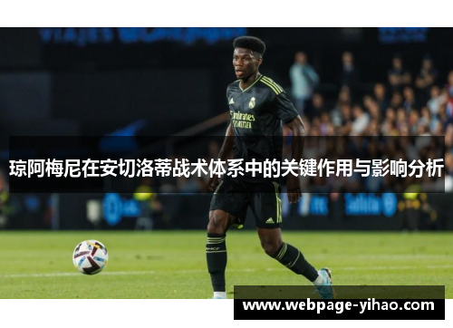琼阿梅尼在安切洛蒂战术体系中的关键作用与影响分析