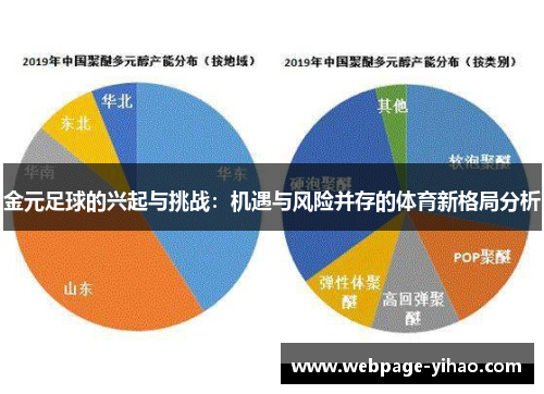 金元足球的兴起与挑战：机遇与风险并存的体育新格局分析