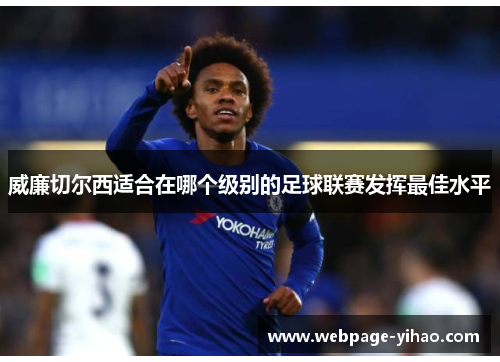 威廉切尔西适合在哪个级别的足球联赛发挥最佳水平