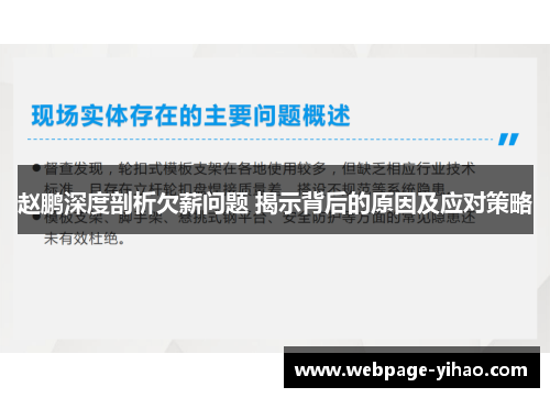 赵鹏深度剖析欠薪问题 揭示背后的原因及应对策略