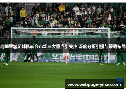 成都蓉城足球队转会市场三大重点引关注 深度分析引援与策略布局